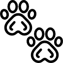 cta-icon