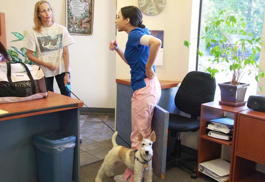 Muir Oaks Veterinary Hospital