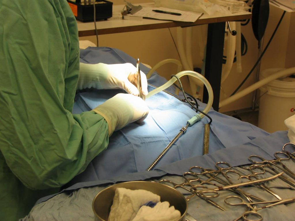 Muir Oaks Veterinary Hospital